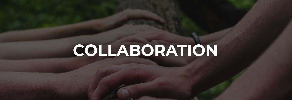 banner-true-partnership